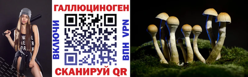 Псилоцибиновые грибы прущие грибы  Питкяранта 