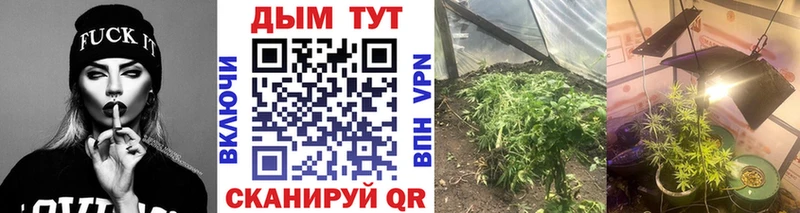Конопля семена  Питкяранта 